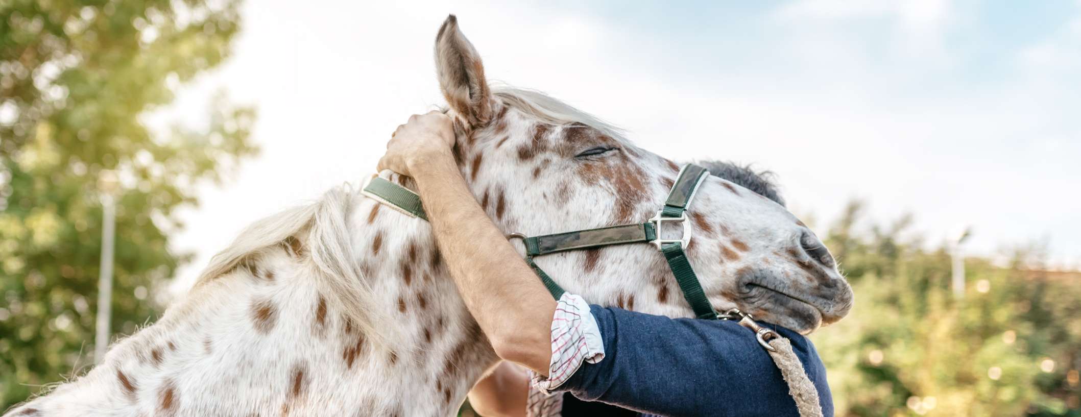 Allianz - Horsemanship: Pferd und Mann umarmen sich