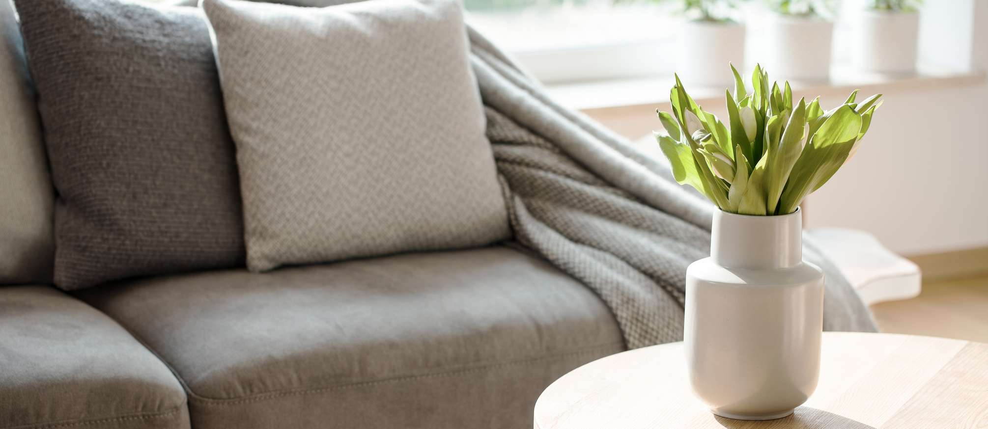 Allianz - Mietsachschaden: Beistelltisch mit Pflanzer vor grauer Couch