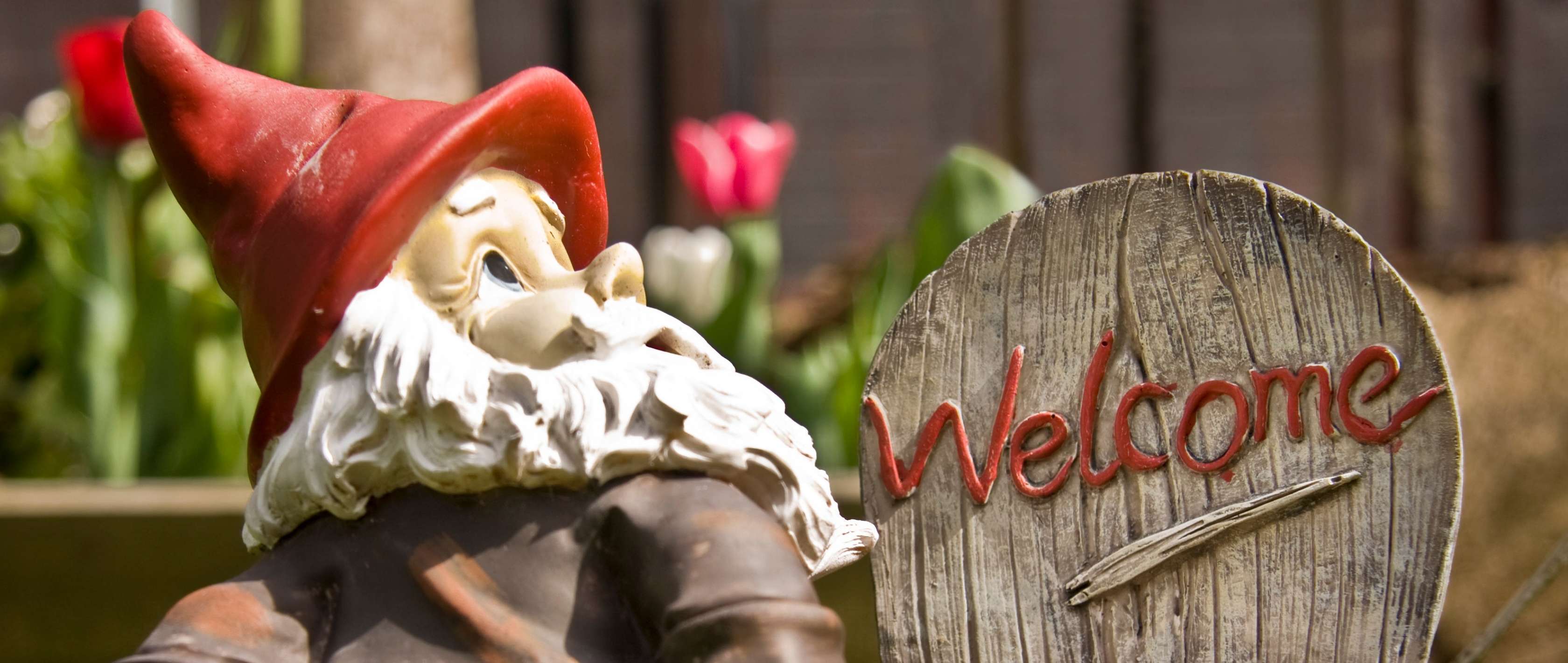 Häufige Streitfälle: Ein Gartenzwerg steht in einem garten