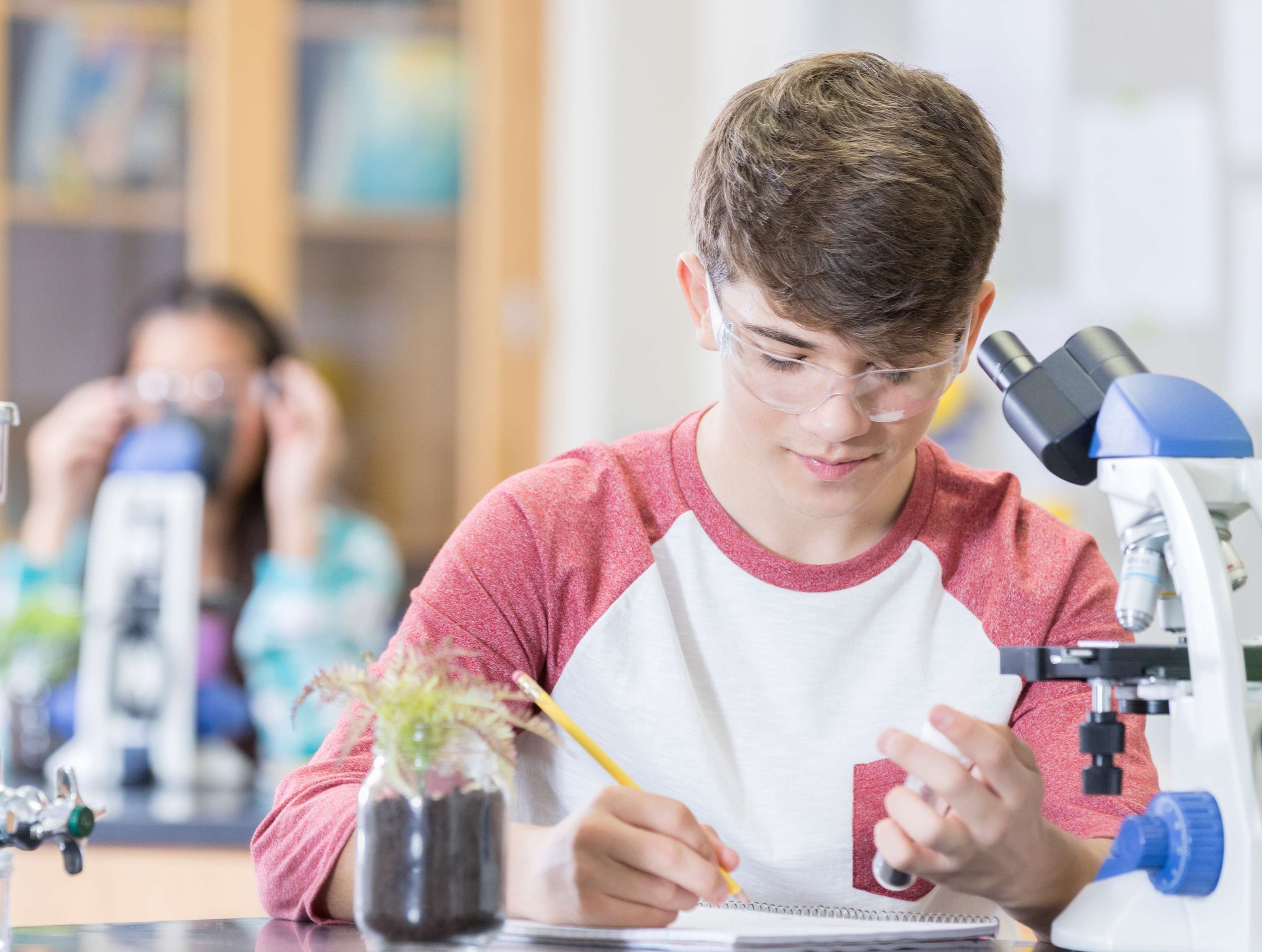 useful description of image if informative and not decoration only.