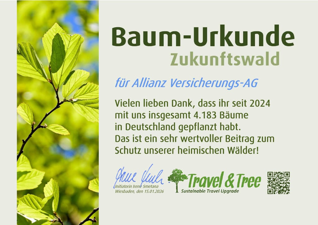 Auf der Urkunde mit dem Titel „Baum-Urkunde Zukunftswald“ wird der Allianz Versicherungs-AG für ihr Engagement gedankt. Der Text lautet: „Vielen lieben Dank, dass ihr seit 2024 mit uns insgesamt 4.183 Bäume in Deutschland gepflanzt habt. Das ist ein sehr wertvoller Beitrag zum Schutz unserer heimischen Wälder!“ Unterzeichnet ist die Urkunde von Irene Smetana, Initiatorin, mit dem Datum „Wiesbaden, den 15.01.2026“. Unten rechts befindet sich das Logo von „Travel & Tree – Sustainable Travel Upgrade“ sowie ein QR-Code. 