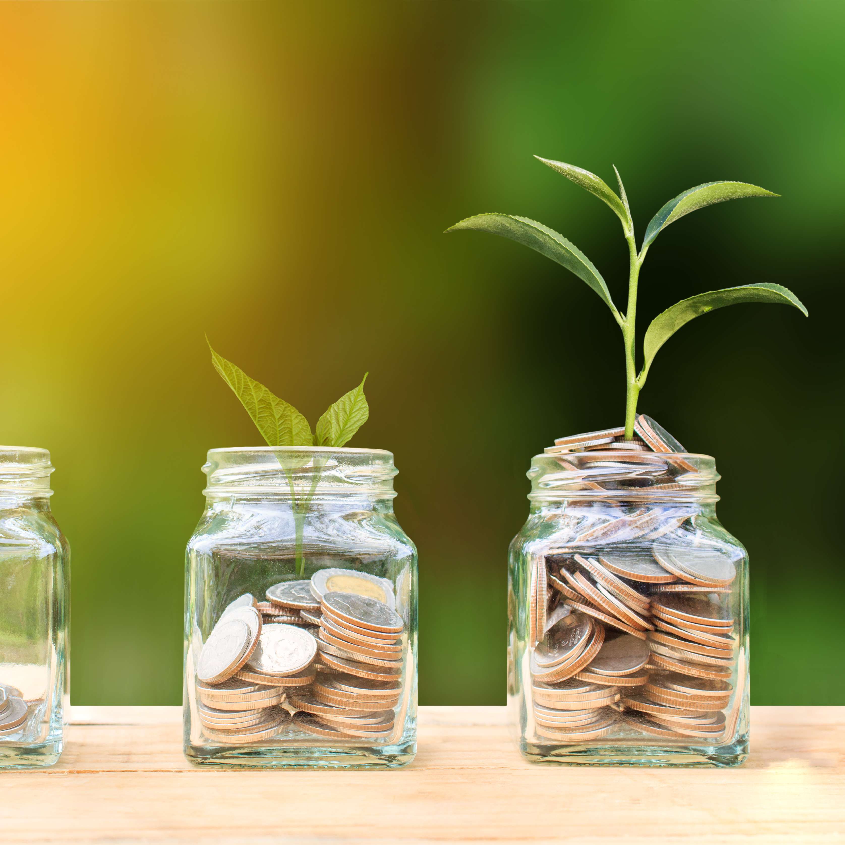 Allianz - Betriebsrentenstärkungsgesetz - Wachstum gezeigt durch Pflanzen und Münzen in Gläsern