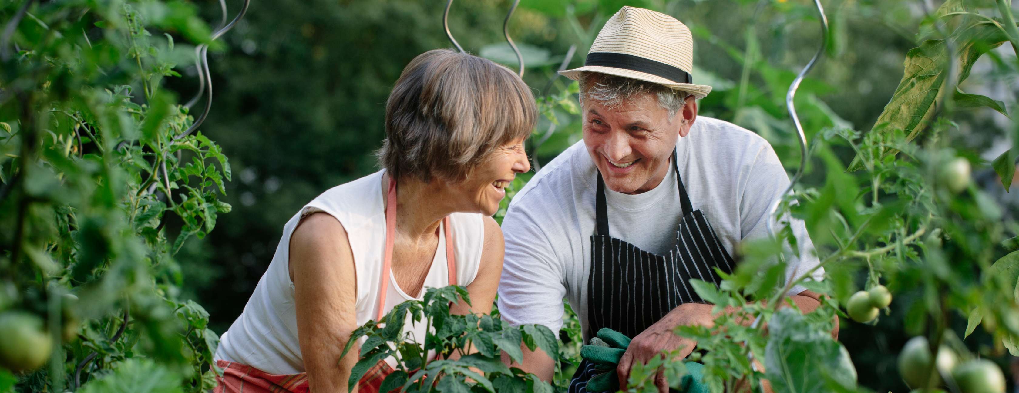 Allianz - Beitragszeiten: Rentnerehepaar erntet Gemüse